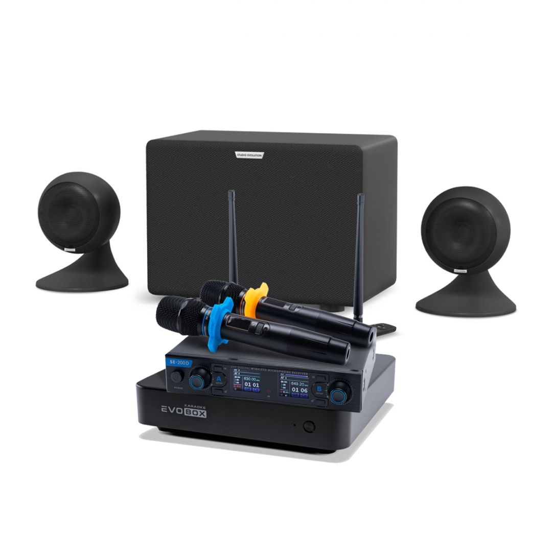 караоке-комплект EVOBOX + EvoSound Sphere 2.1 в Тынде