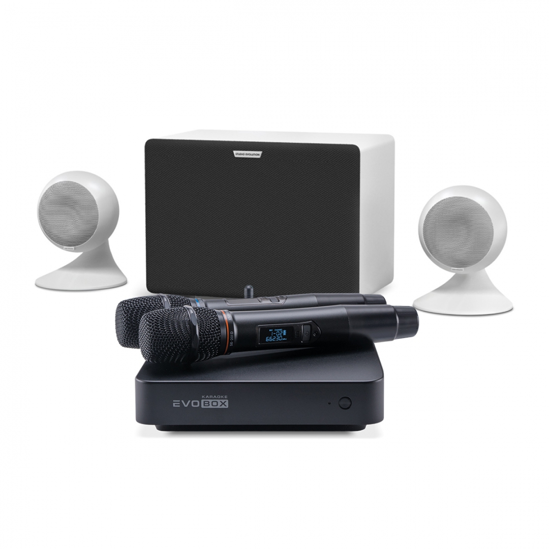 караоке-комплект EVOBOX Classic + EvoSound Sphere 2.1 в Тынде