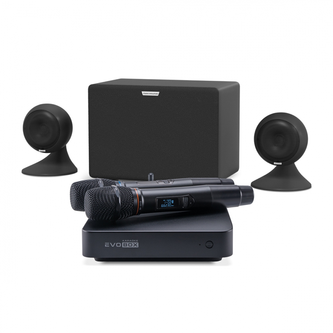 караоке-комплект EVOBOX Plus + EvoSound Sphere 2.1 в Тынде