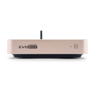 EVOBOX Classic караоке-система для дома в Тынде