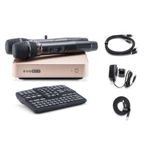 EVOBOX Classic караоке-система для дома в Тынде