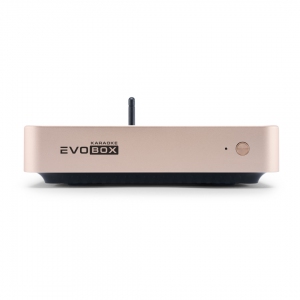 EVOBOX Plus караоке-система для дома в Тынде