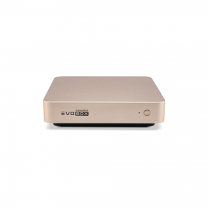 EVOBOX с микрофонами в Тынде